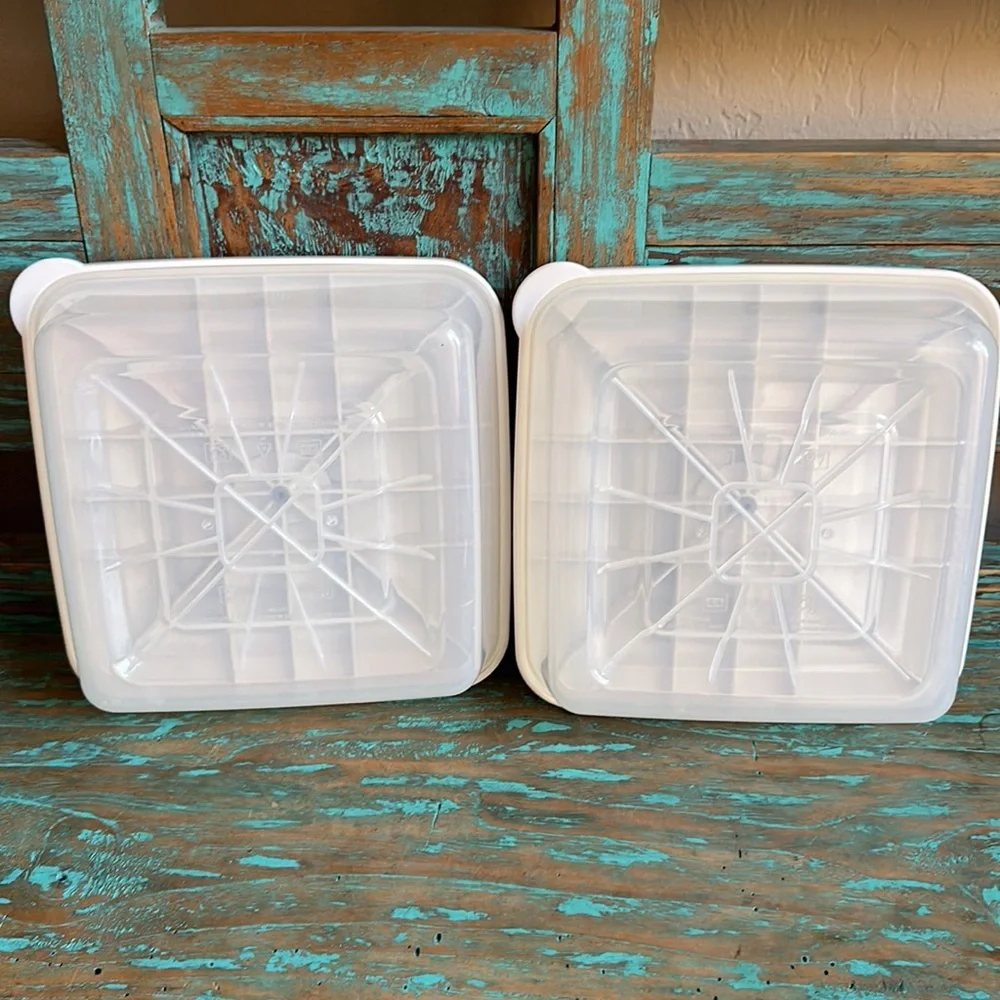 FoodSaver White Square Vacuum Storage Containers (2) Green Letters #1317